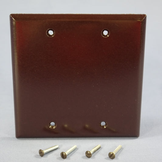 Eagle 2137B Brown 2-Gang Plastic Blank Standard Wallplate Cover Box Mount 2-pack