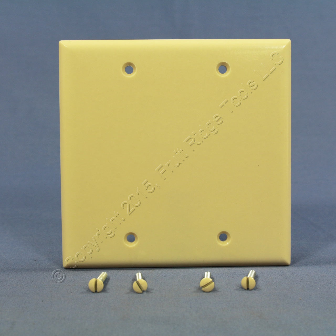 Eagle 2137V Ivory 2-Gang Blank Plastic Standard Wallplate Cover Plate Box Mount