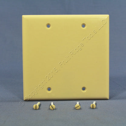 Eagle 2137V Ivory 2-Gang Blank Plastic Standard Wallplate Cover Plate Box Mount