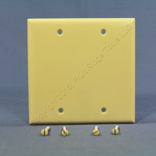 Eagle 2137V Ivory 2-Gang Blank Plastic Standard Wallplate Cover Plate Box Mount