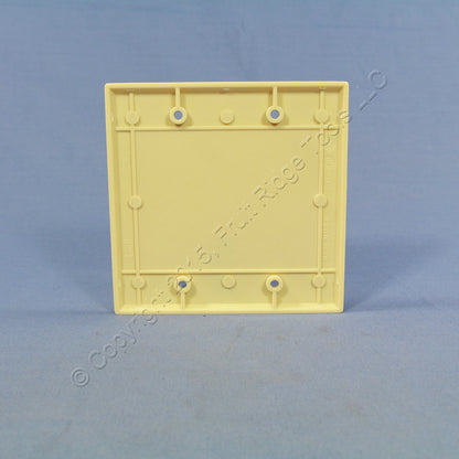Eagle 2137V Ivory 2-Gang Blank Plastic Standard Wallplate Cover Box Mount 2-pack