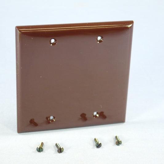 Eagle 5137B Brown 2-Gang Blank Unbreakable Standard Wallplate Cover Box Mount