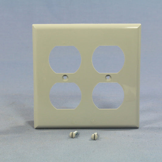 Eagle Gray 2-Gang Receptacle Wallplate Unbreakable Duplex Outlet Cover 5150GY