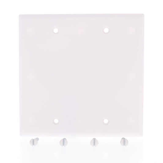 Eaton 2137W White 2-Gang Blank Plastic Standard Wallplate Cover Plate Box Mount