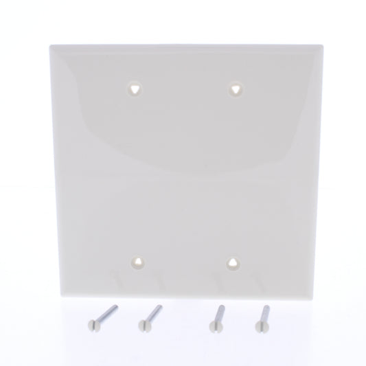Eaton PJ23LA Light Almond 2-Gang Mid-Size Blank Nylon Wallplate Box Mount Cover