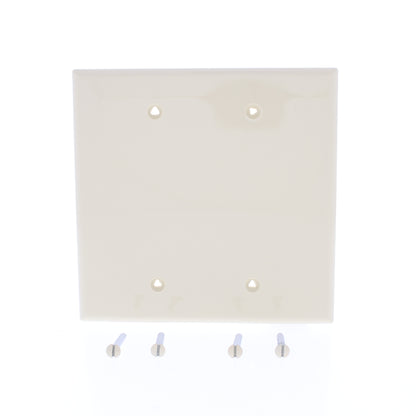 Eaton PJ23V Ivory 2-Gang Unbreakable Mid-size 2-Gang Blank Nylon Wallplate Cover