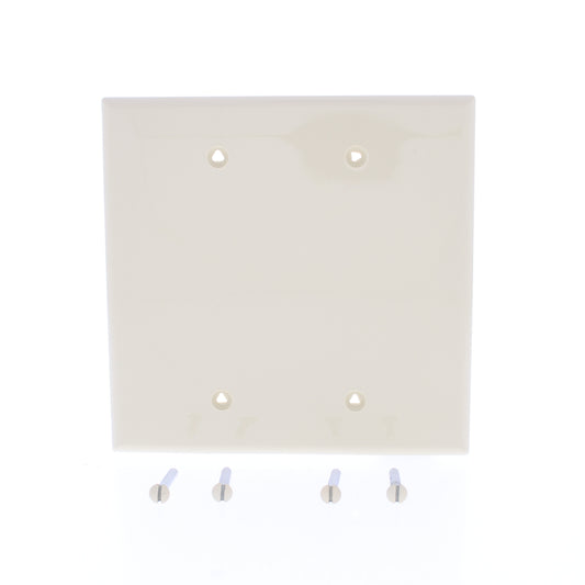 Eaton PJ23V Ivory 2-Gang Unbreakable Mid-size 2-Gang Blank Nylon Wallplate Cover