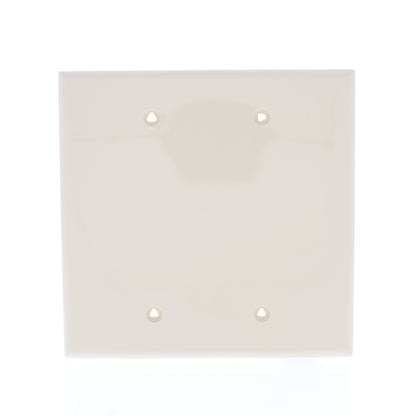 Eaton PJ23V Ivory 2-Gang Unbreakable Mid-size 2-Gang Blank Nylon Wallplate Cover