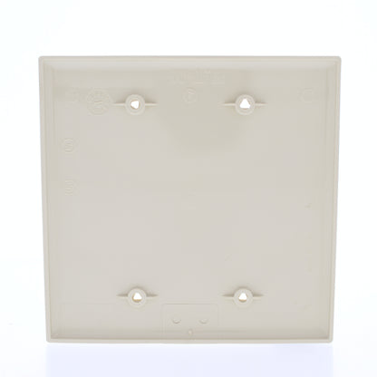 Eaton PJ23V Ivory 2-Gang Unbreakable Mid-size 2-Gang Blank Nylon Wallplate Cover