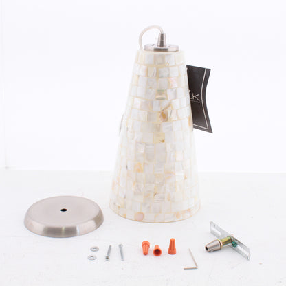 Elk Lighting Riley Single Light 10" Wide Pendant with Clear Glass Shade 16061/1