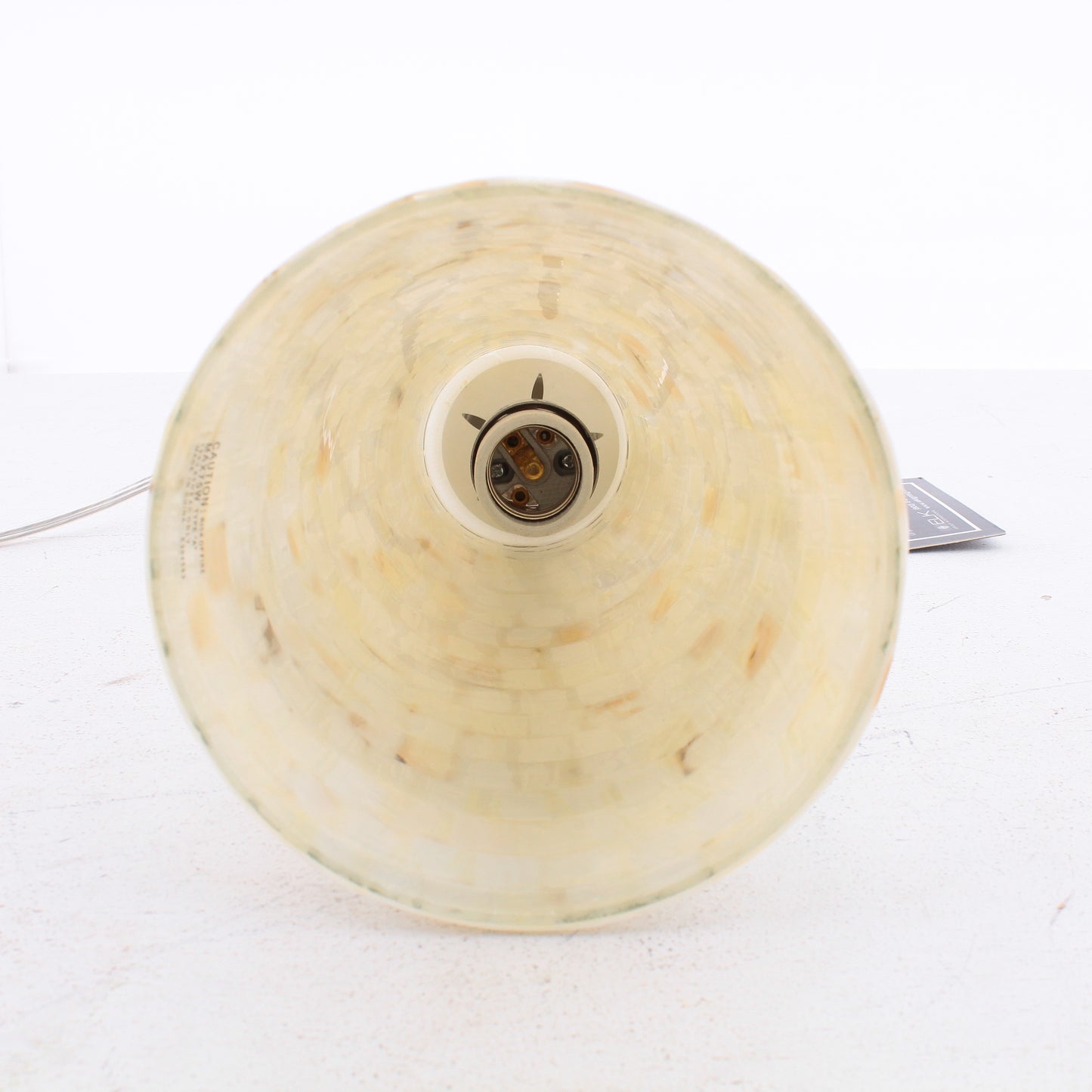 Elk Lighting Riley Single Light 10" Wide Pendant with Clear Glass Shade 16061/1