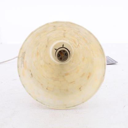 Elk Lighting Riley Single Light 10" Wide Pendant with Clear Glass Shade 16061/1