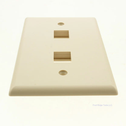 Eaton 5520V-MSP Ivory 1-Gang 2-Port Unbreakable Nylon Mid-Size Wallplate Cover