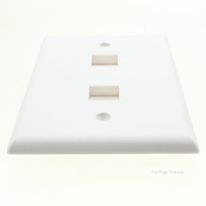 Eaton 5520W-MSP White 1-Gang  Mid-Size 2-Port Nylon Unbreakable Wallplate Cover