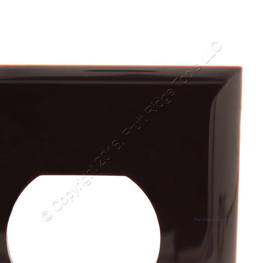 GE Brown Unbreakable Duplex Wallplate 2-Gang Receptacle Nylon Cover N81102-SP