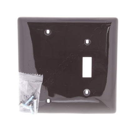 Hubbell NP113 Brown 2-Gang Toggle Blank Nylon Standard Wallplate Cover Box Mount