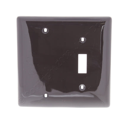 Hubbell NP113 Brown 2-Gang Toggle Blank Nylon Standard Wallplate Cover Box Mount