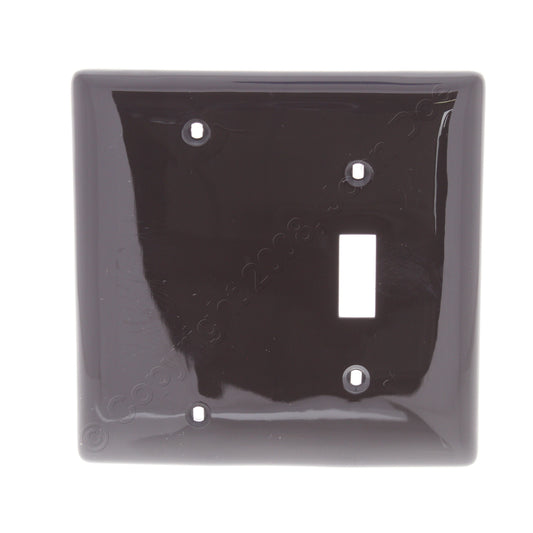 Hubbell NP113 Brown 2-Gang Toggle Blank Nylon Standard Wallplate Cover Box Mount