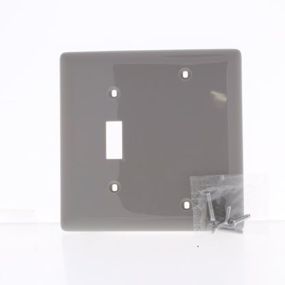 Hubbell NP113GY Gray 2-Gang Toggle Blank Nylon Standard Wallplate Cover Box Mnt