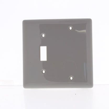 Hubbell NP113GY Gray 2-Gang Toggle Blank Nylon Standard Wallplate Cover Box Mnt