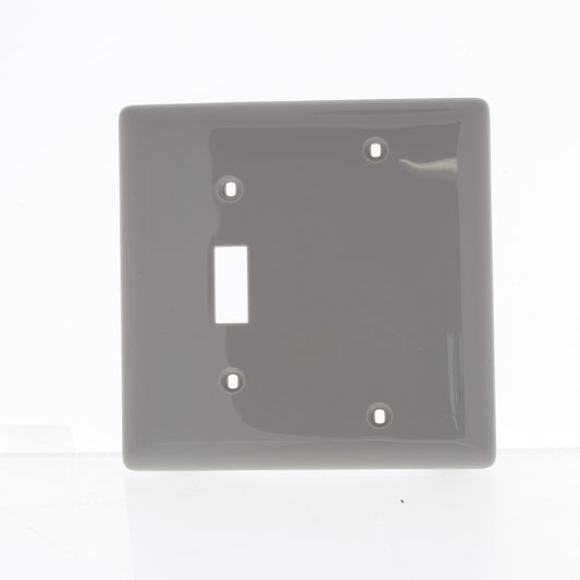 Hubbell NP113GY Gray 2-Gang Toggle Blank Nylon Standard Wallplate Cover Box Mnt