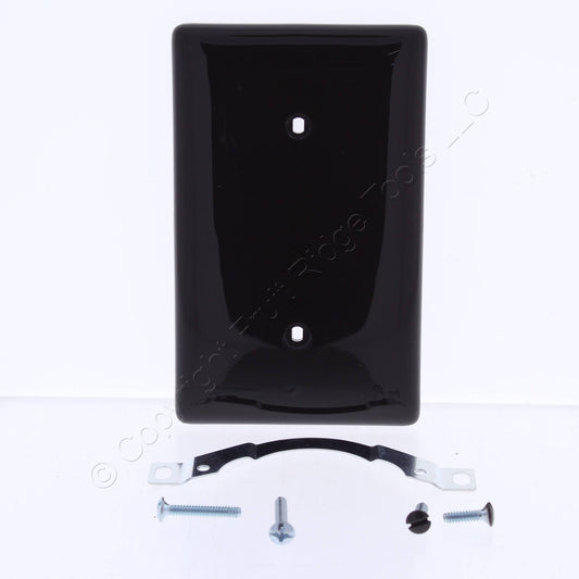 Hubbell NP14 Brown 1-Gang Blank Unbreakable Nylon Cover Strap Mount Wallplate