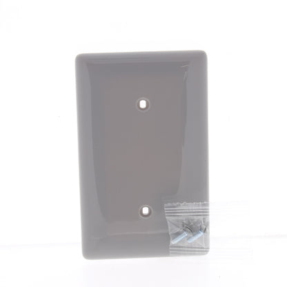 Hubbell NP14GY Gray 1-Gang Blank Unbreakable Standard Wallplate Covers 25pcs