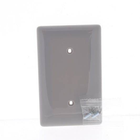 Hubbell NP14GY Gray 1-Gang Blank Unbreakable Standard Wallplate Covers 25pcs