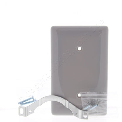 Hubbell NP14GY Gray 1-Gang Blank Nylon Standard Size Wallplate Cover Strap Mount