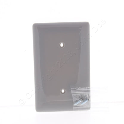 Hubbell NP14GY Gray 1-Gang Blank Nylon Standard Size Wallplate Cover Strap Mount