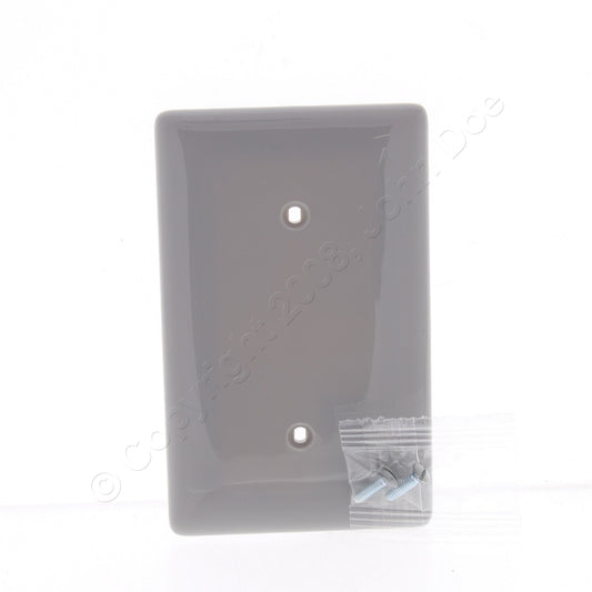Hubbell NP14GY Gray 1-Gang Blank Nylon Standard Size Wallplate Cover Strap Mount