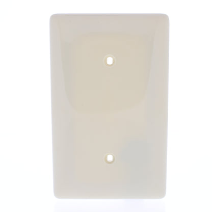 Hubbell NP14I Ivory 1-Gang Blank Nylon Standard Size Wallplate Cover Strap Mount