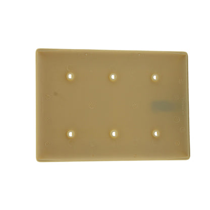 Hubbell NP34I Ivory 3-Gang 3-Blank Unbreakable Nylon Wallplate Cover Strap Mount