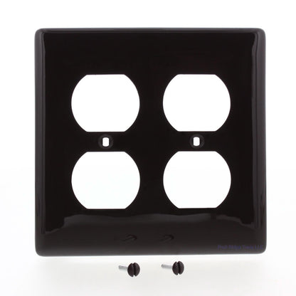 Hubbell NP82 Brown 2-Gang Duplex Outlet Unbreakable Nylon Standard Wallplate