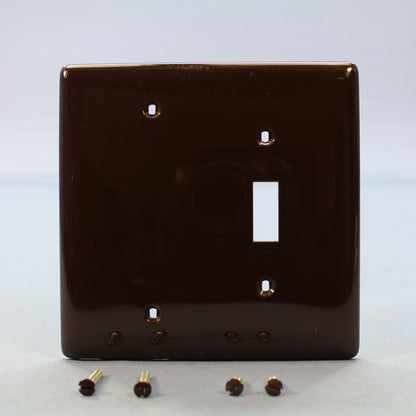 Hubbell NPJ113 Brown 2-Gang Toggle Blank Unbreakable Midsize Wallplate Box Mount