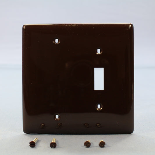Hubbell NPJ113 Brown 2-Gang Toggle Blank Unbreakable Midsize Wallplate Box Mount
