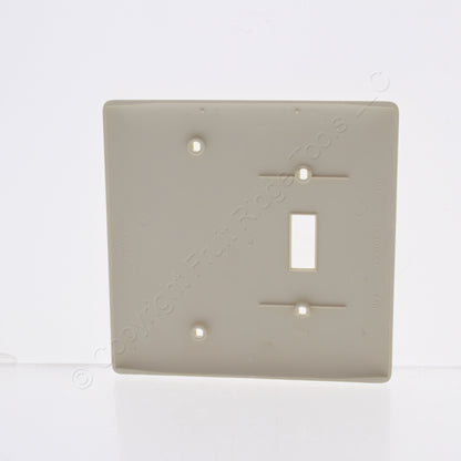 Hubbell Lt Almond Mid-size Unbreakable 2-G Blank Switch Cover Wallplate NPJ113LA