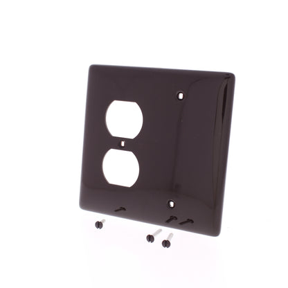 Hubbell NPJ138 2-Gang Brown Blank Covers Outlet Mid-size Nylon Wallplate 25-Pack
