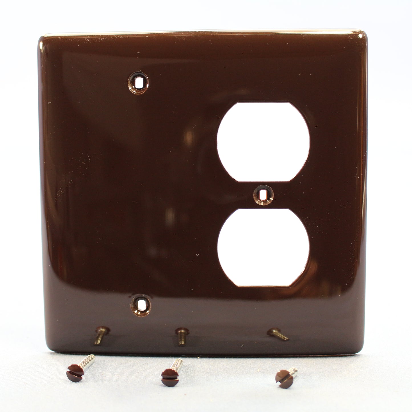 Hubbell NPJ138 Brown 2-Gang Receptacle Blank Mid-Size Wallplate Cover Box Mount