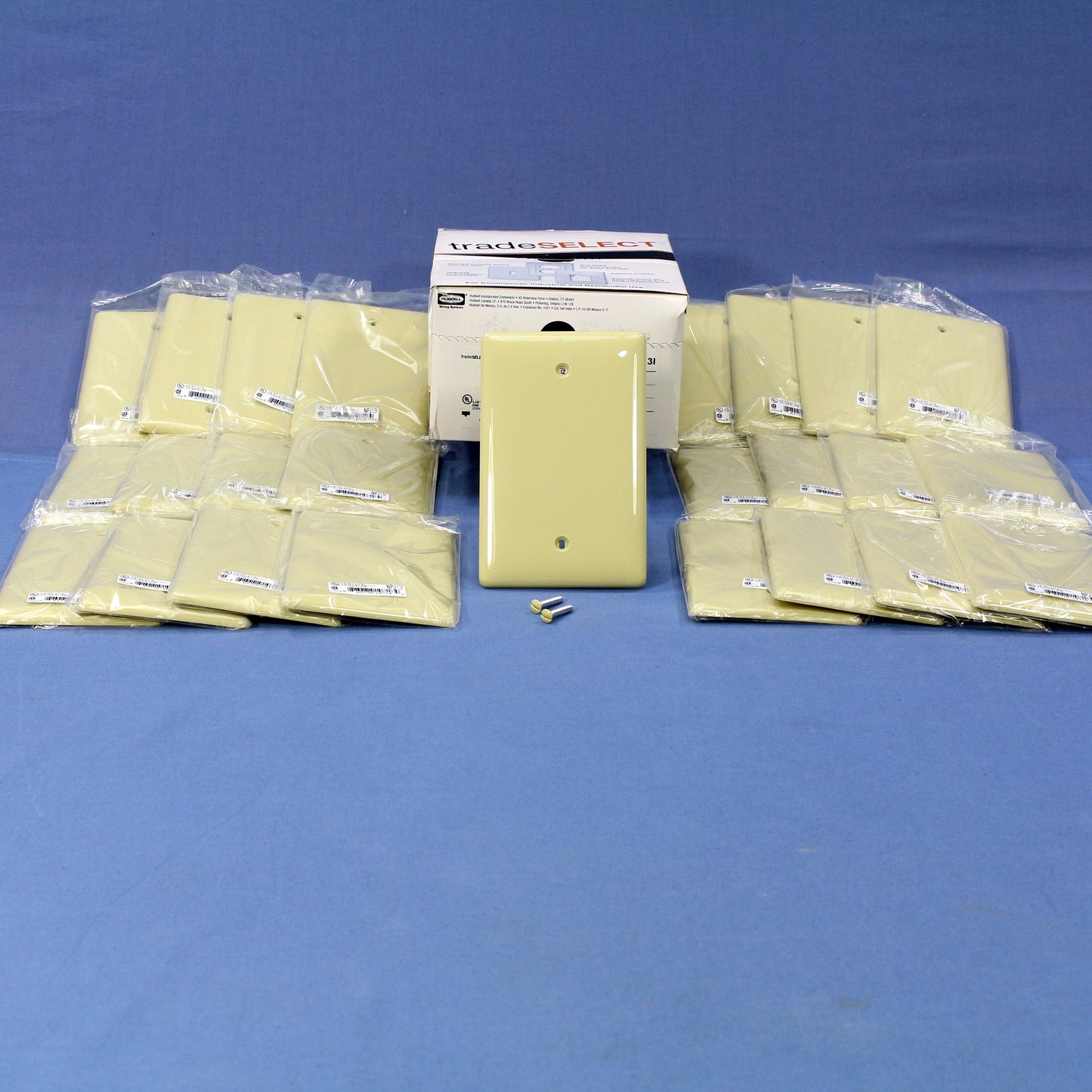 Hubbell NPJ13I Ivory 1-Gang Blank Unbreakable Mid-Size Wallplate Box Mount 25pcs