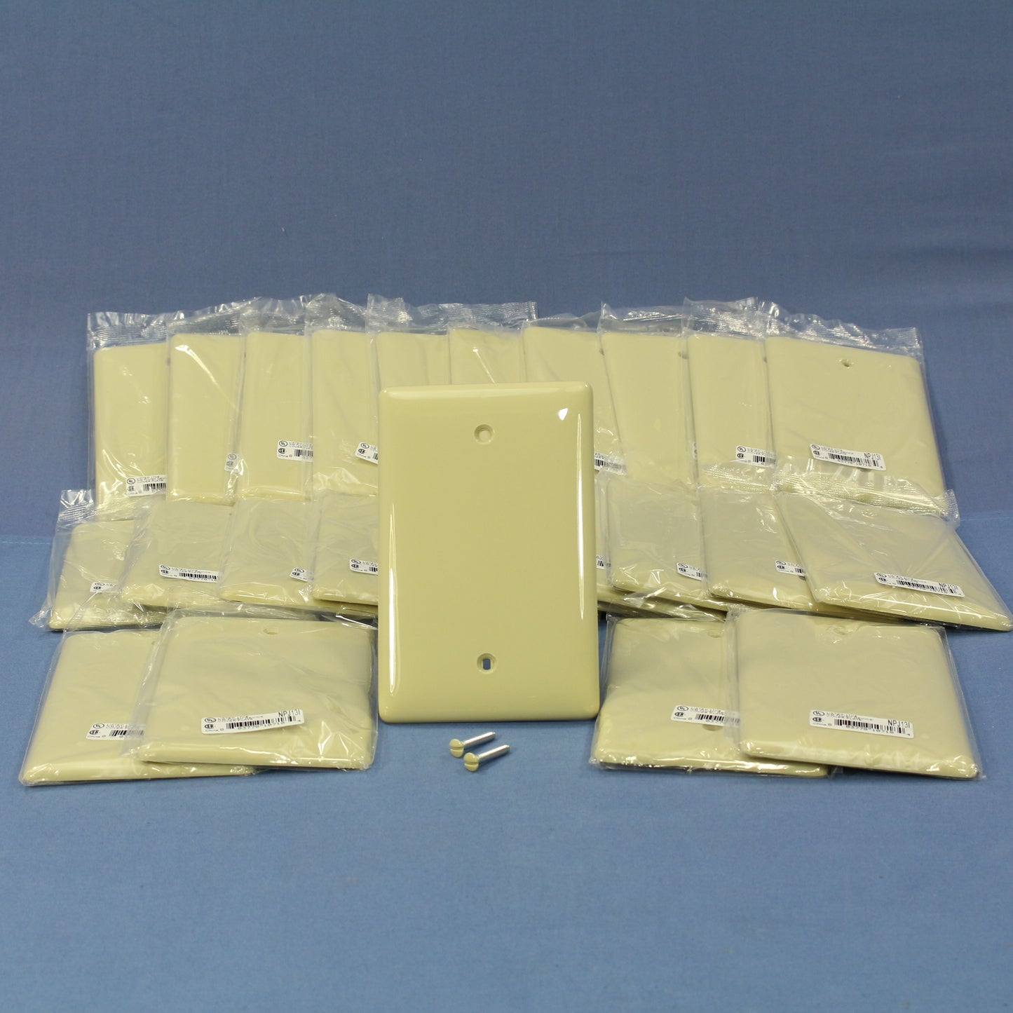 Hubbell NPJ13I Ivory 1-Gang Blank Unbreakable Mid-Size Wallplate Box Mount 25pcs