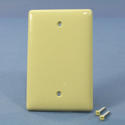 Hubbell NPJ13I Ivory 1-Gang Blank Unbreakable Mid-Size Wallplate Box Mount 25pcs
