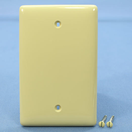 Hubbell NPJ13I Ivory 1-Gang Blank Nylon Wallplate Mid-Size Cover Box Mount