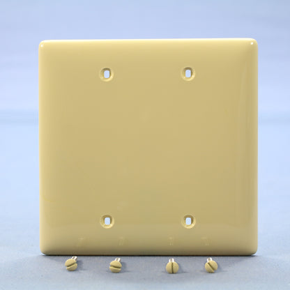 Hubbell NPJ23I Ivory 2-Gang Blank Unbreakable Midsize Wallplate Cover Box Mount