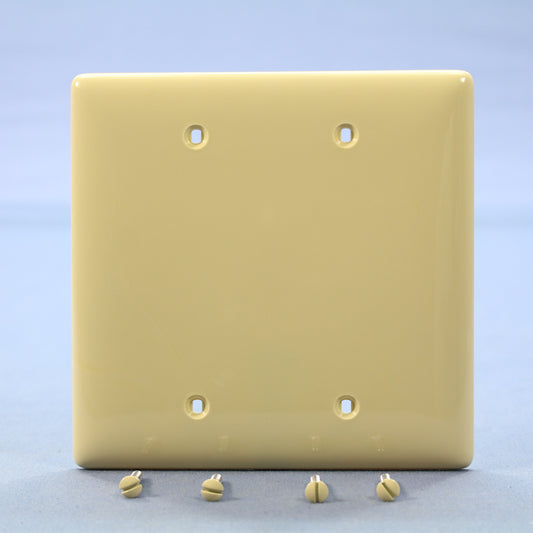 Hubbell NPJ23I Ivory 2-Gang Blank Unbreakable Midsize Wallplate Cover Box Mount