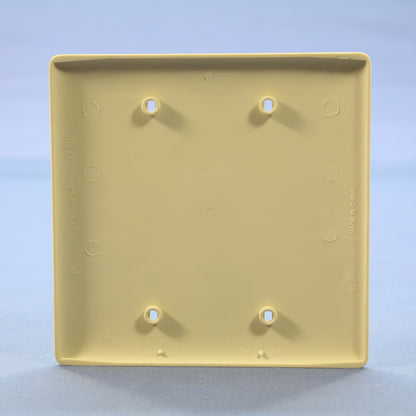 Hubbell NPJ23I Ivory 2-Gang Blank Unbreakable Midsize Wallplate Cover Box Mount