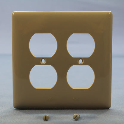 Hubbell NPJ82GY Gray 1-Gang Duplex Unbreakable Nylon Mid-Size Wallplate Cover