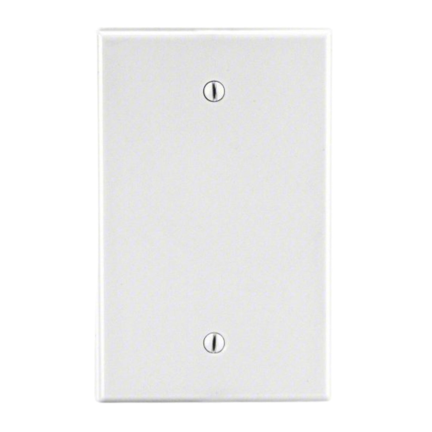Hubbell White 1-Gang Blank Unbreakable Nylon Cover Wallplate Box Mount P13W