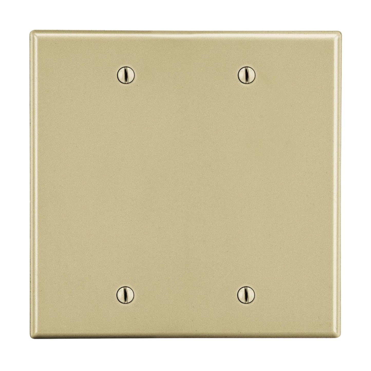 Hubbell P23I Ivory 2-Gang Unbreakable Blank Box Mount Nylon Wallplate Cover