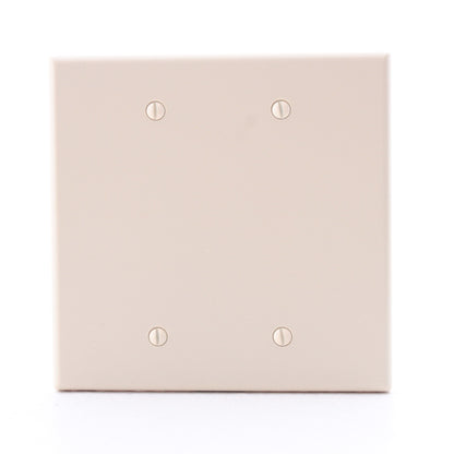 Hubbell PJ23I Ivory Unbreakable Mid-Size 2-Gang Box Mount Blank Nylon Cover